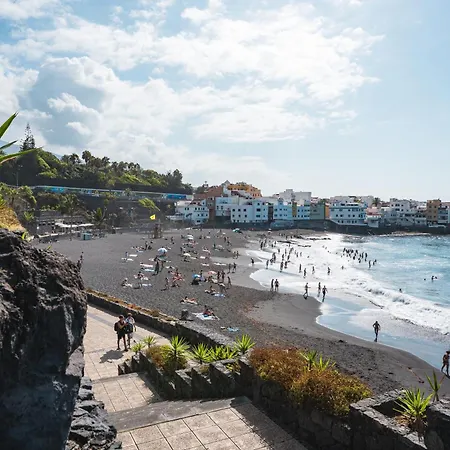 Apartment Modern And Comfortable - Center Puerto *